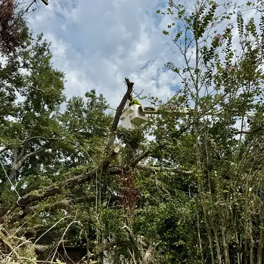 Bucket truck crew clearing storm-damaged trees near power lines