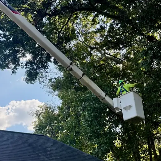 Arborist in a bucket truck trimming limbs over a roof