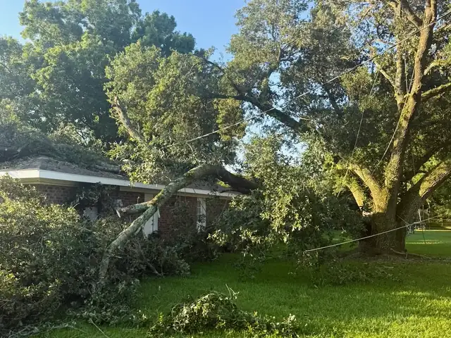 Storm-damaged oak limb resting on a house roof