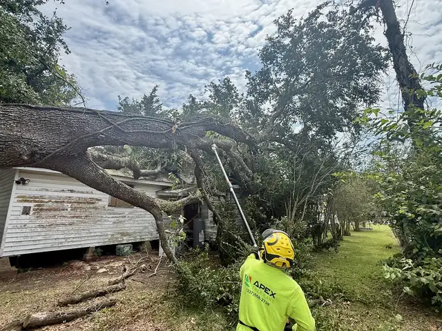 Apex crew member cutting a fallen oak limb away from a house