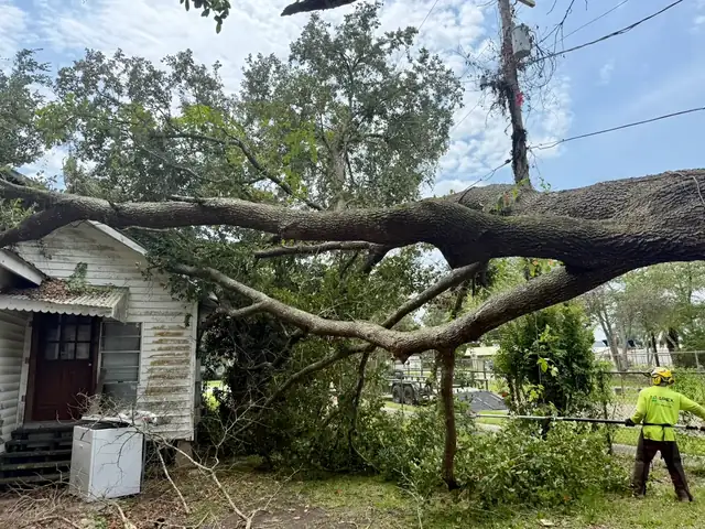 Large oak limb fallen across a house after a storm, being cleared by Apex Tree Care